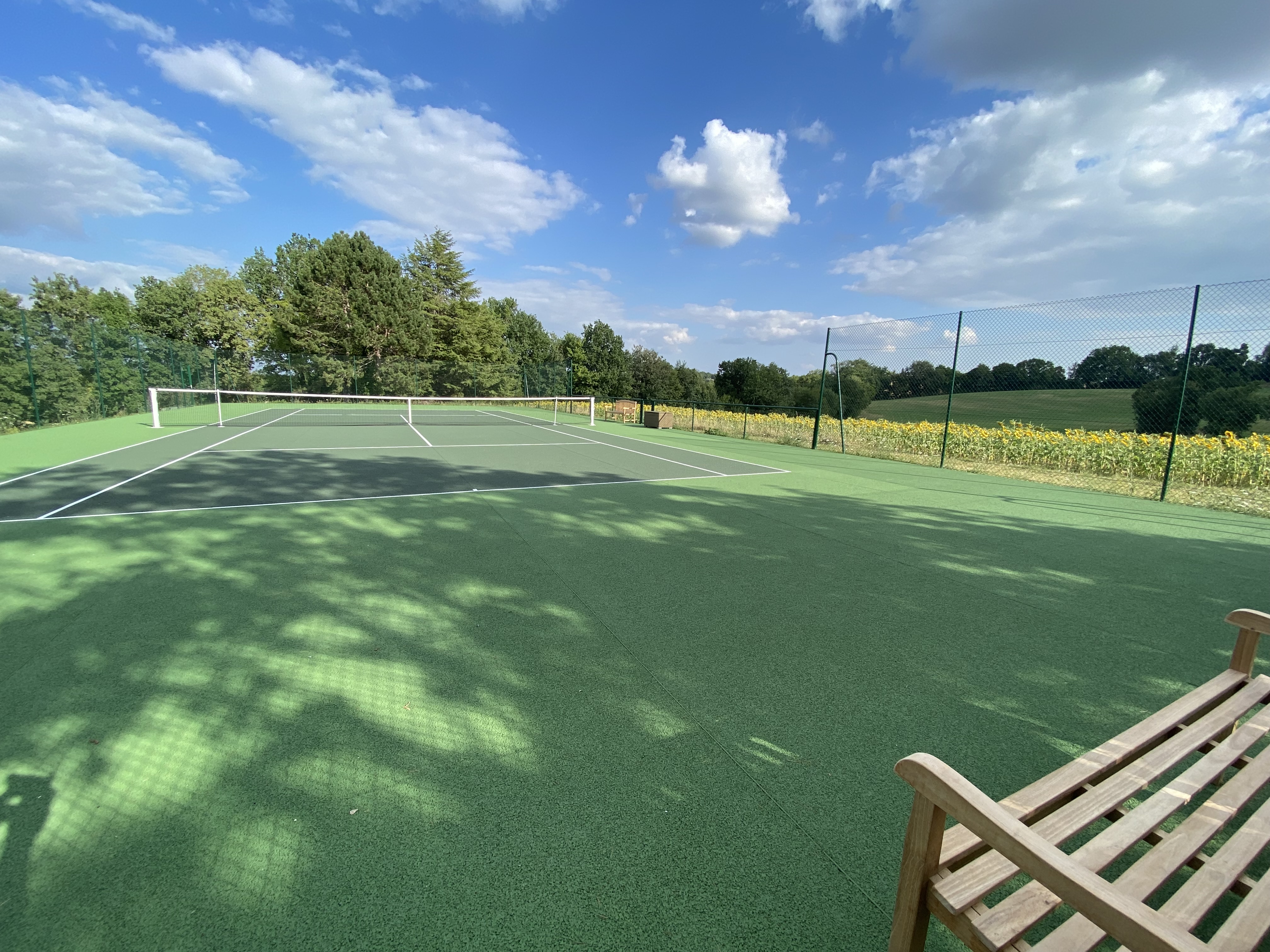 The tennis court, bordered by sunflower fields