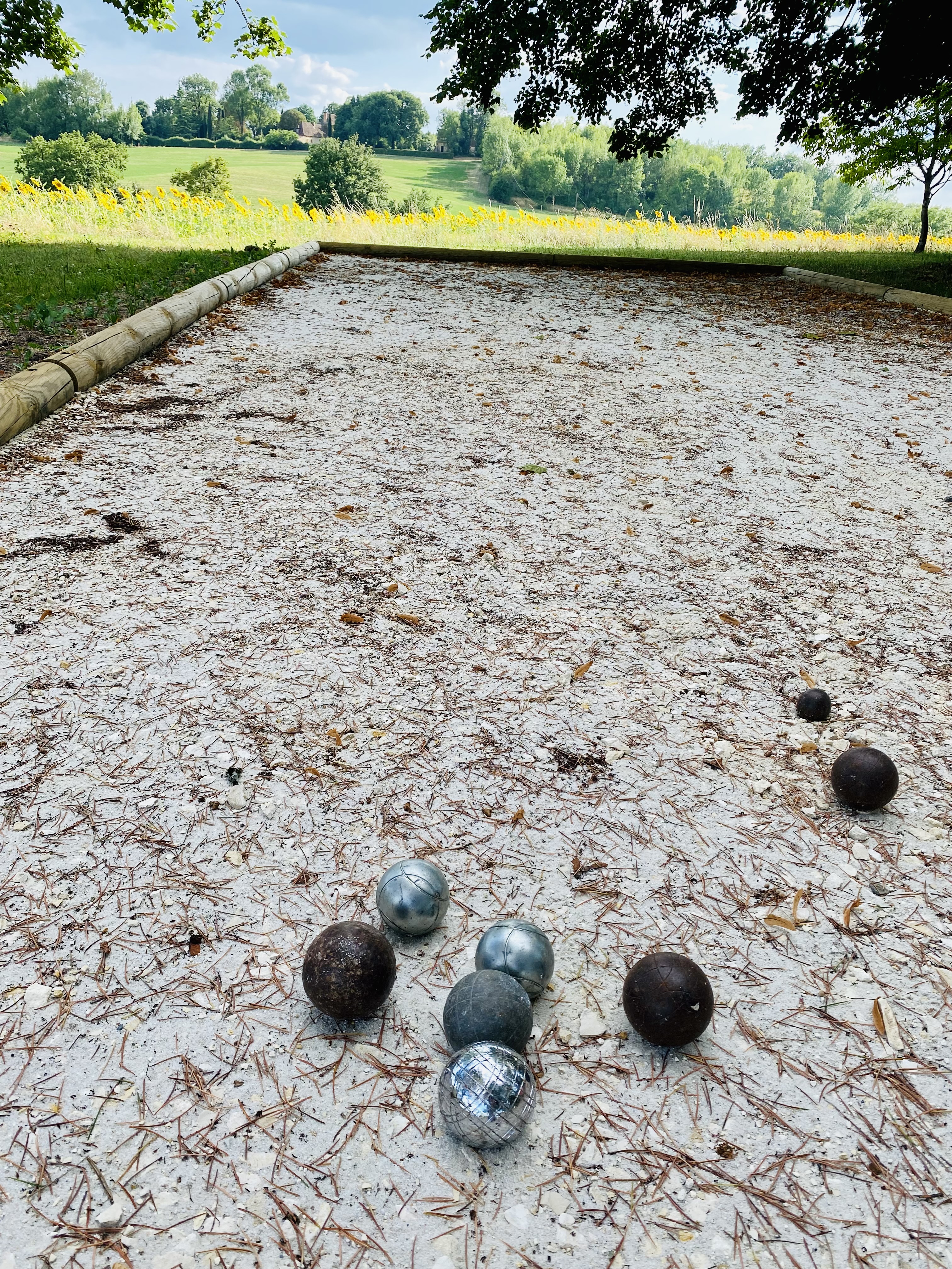 The pétanque piste under the trees, facing the sunflowers