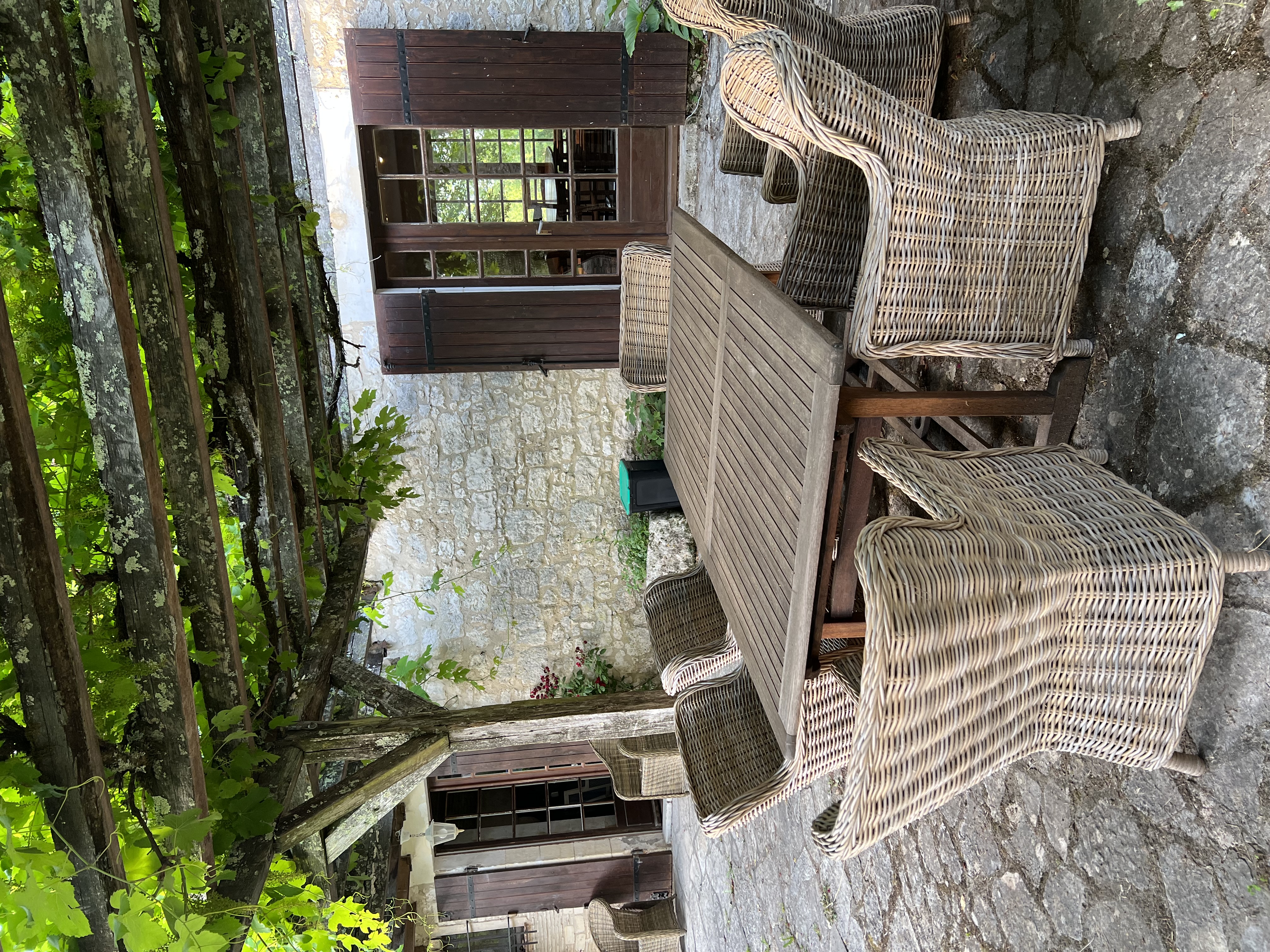 The paved terrace under the old vine at Maison du Seigneur