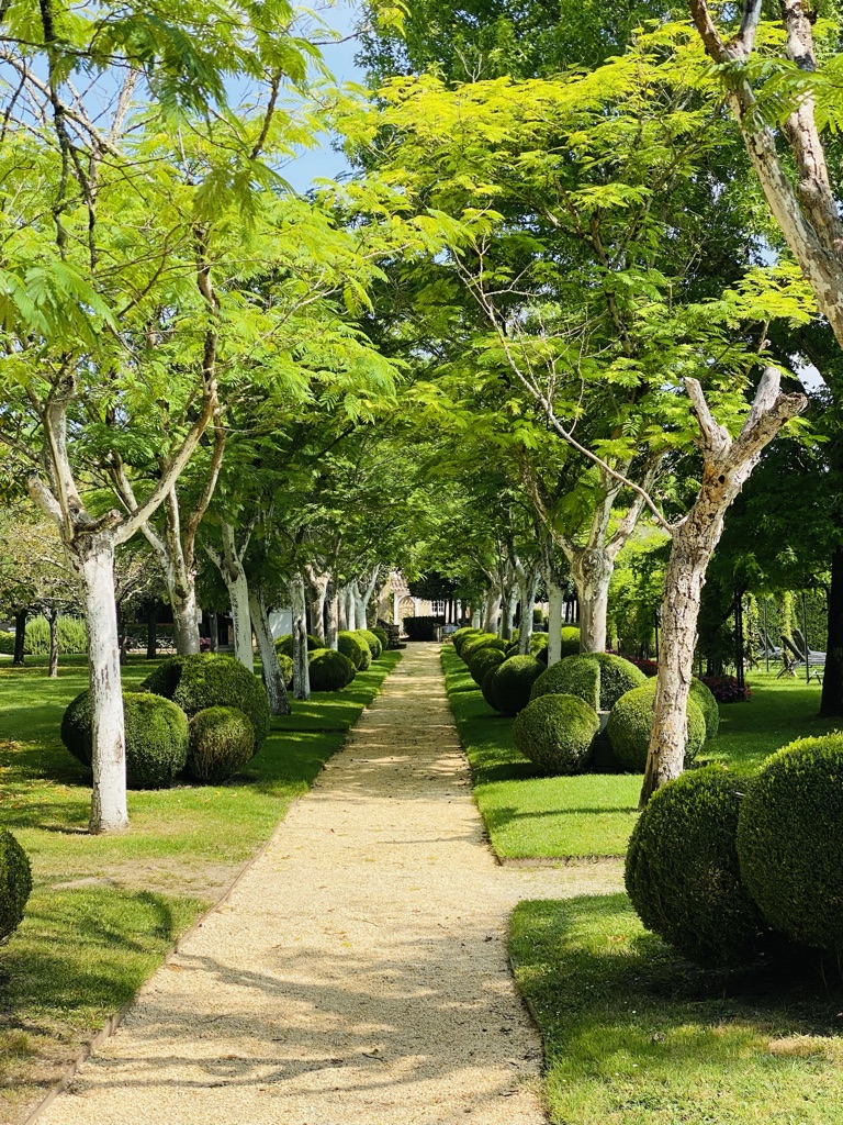 The topiary allée in the gardens at Le Vieux Logis, Trémolat.