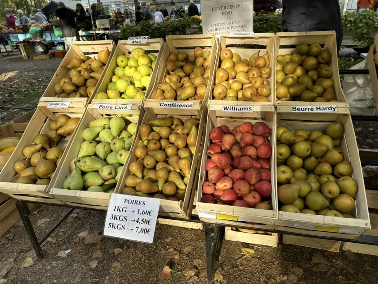 Wooden crates of pears and apples at the Sunday Issigeac market — varieties labelled in hand-written cards, Épine du Mas, Poire Curé, Conférence, Williams, Beurré Hardy, with a price sign reading 1kg 1,60€, 3kgs 4,50€, 5kgs 7,00€