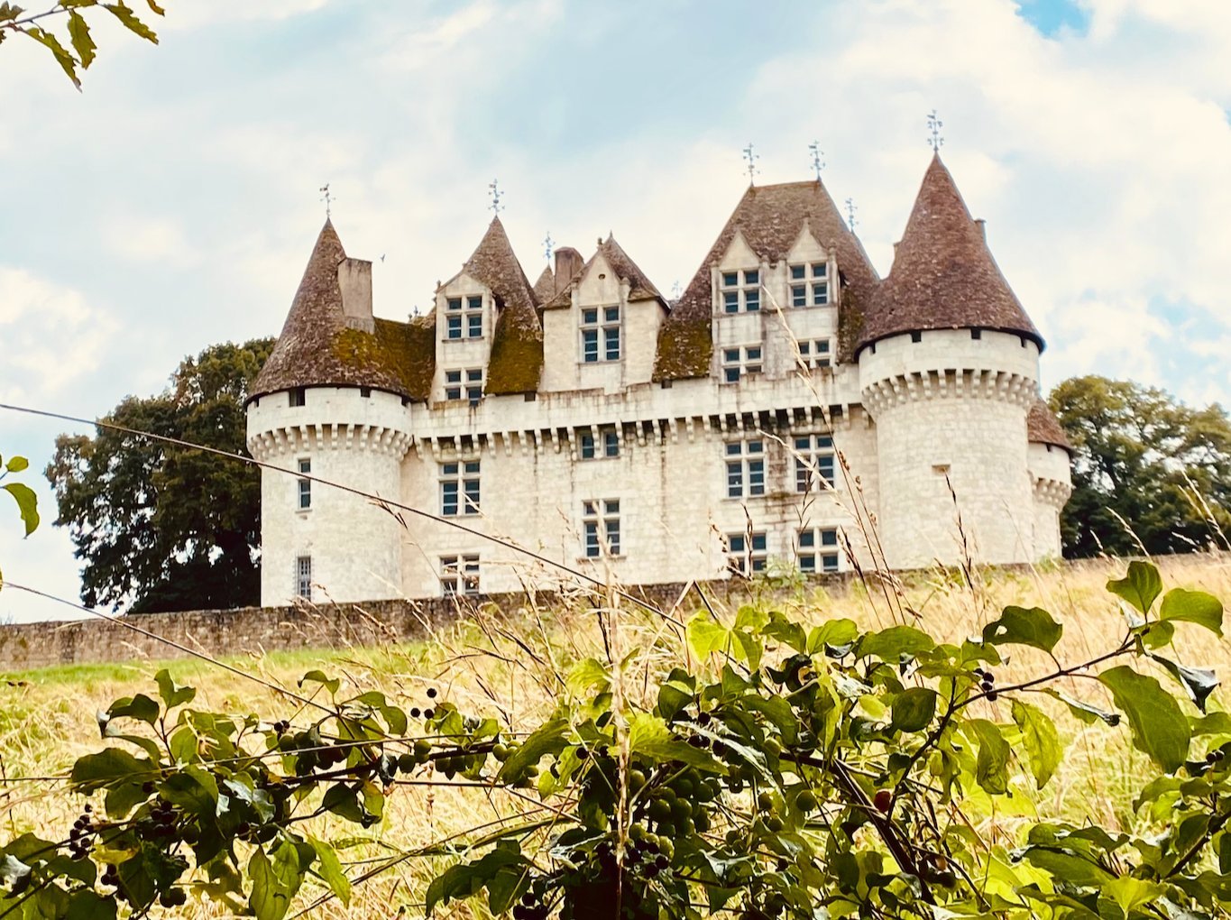 Château de Monbazillac in close-up at three-quarter angle — the four cone-topped corner towers, machicolated walls, dormered windows, and crenellated roofline in late-afternoon warm light, with a foreground of brambles slightly out of focus