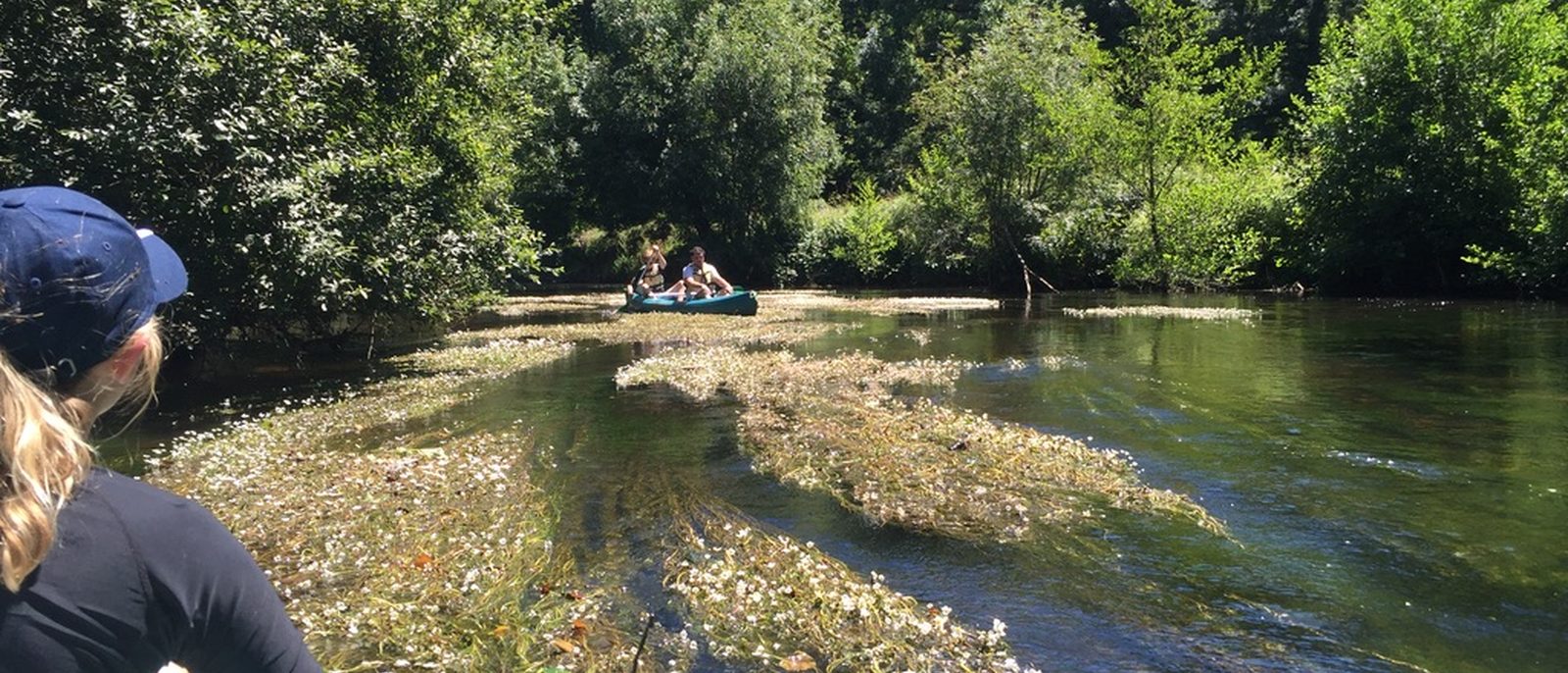 Paddling on the Vézère — a canoe ahead in clear water, water plants flowing in the current, trees on both banks.