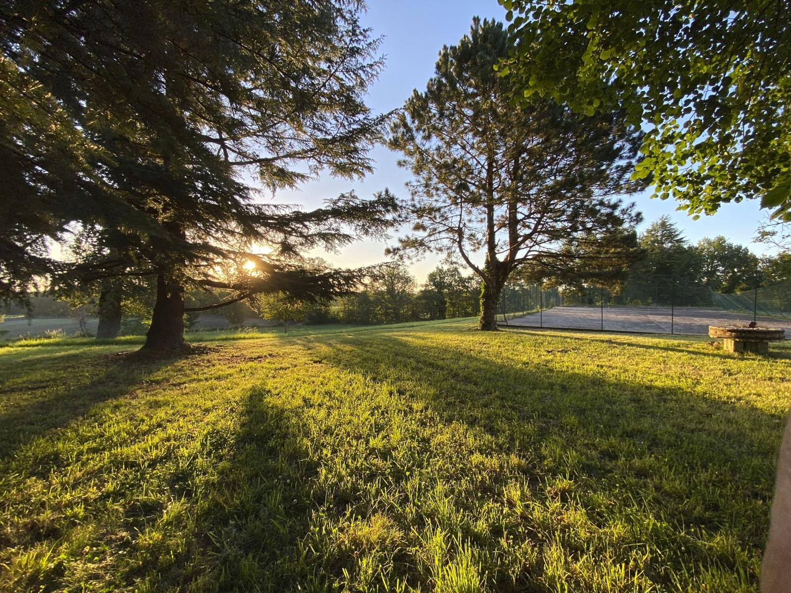 Evening sun across the lawn and trees at Manoir du Suquet